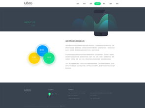 ui設計網站建設產品建設 網站制作